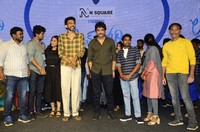 Love Story Magical Success Meet